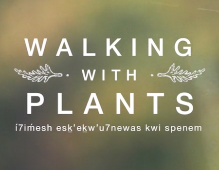 Walking with Plants